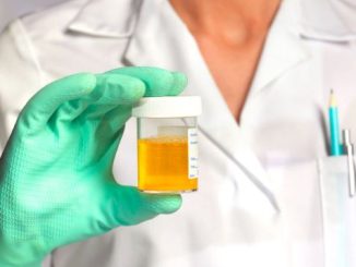why-is-urine-yellow?-unraveling-the-science-behind-this