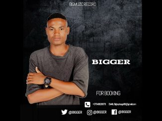Bigger – Bigmuzic Mix Vol. 11