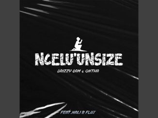 Drizzy Sam – Ncel'unsize ft. Ontha, Mali B-Flat