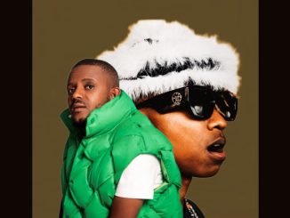 Kabza De Small & Xduppy – Ziwa Ngale (Remix) ft. Dladla Mshunqisi, Felo Le Tee & DJ Tira