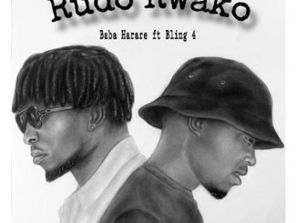 Baba Harare - Rudo Rwako ft Bling 4 [Video]