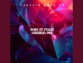 Capsule Deep SA – Song Of Peace (Original Mix)