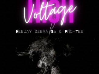 Deejay Zebra SA & Pro-Tee – High Voltage EP