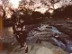 Kaash Paige - "Waterfalls" [Video]