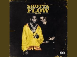 NLE Choppa feat. Lil Mabu - "Shotta Flow 7" (Remix) [Video]