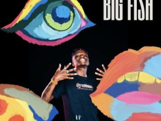 Philharmonic – Big Fish [Album]