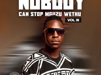uLazi - Nobody Can Stop Mguzu Wethu, Vol. 3