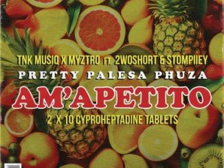 XDUPPY, TNK MusiQ & Myztro ft 2woshort & Stompiiey – Am’apetito