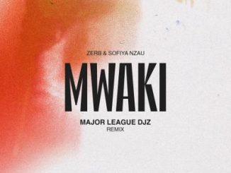 Zerb & Sofiya Nzau – Mwaki (Major League DJz Remix)