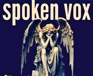 Buder Prince & Ruthes MA – Spoken Vox