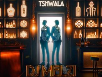 DJ Melzi – Ngalo Tshwala (feat. Senzo Afrika)