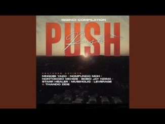 Mnqobi Yazo, Nontokozo Mkhize & Musiholiq – Push Push ft. Various Artists