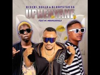 Niseni, Gallo & DJ Bopstar SA – Uphenyane ft. MC Mbangikhala