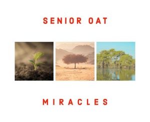 Senior Oat – Miracles (Album)