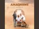 AmaQhawe – Impumelelo ft. Philharmonic & Pushkin RSA